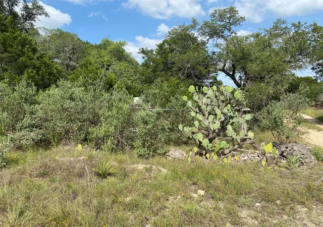 Homes for sale in Wimberley, TX | Tbd Fm 3237/whisper Ridge Rdg, Wimberley, TX 78676 | MLS# 8932084