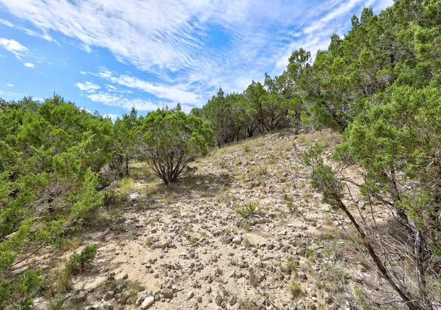 4th image of 20801 Leaning Oak Dr, Lago Vista, TX 78645 | MLS# 7627132