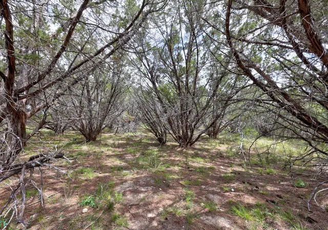 10th image of 20801 Leaning Oak Dr, Lago Vista, TX 78645 | MLS# 7627132