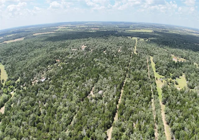 Homes for sale in Paige, TX | Tbd Lot 15 Pecan St, Paige, TX 78659 | MLS# 2701470