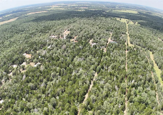 Homes for sale in Paige, TX | Tbd Lot 15 Pecan St, Paige, TX 78659 | MLS# 2701470