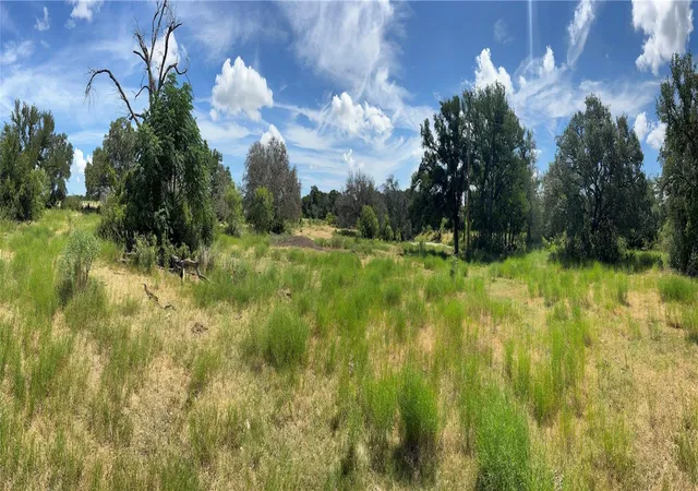 Photo 3 of House for sale at Tbd Cr 200/ Shady Grv Rd, Bertram, TX 78605 | MLS# 4646505 | Listing updated on 2026-07-08
