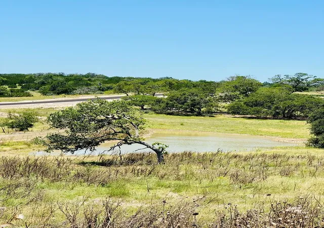 Photo 3 of Land for sale at Lot 3 Oakwater Dr, Fredericksburg, TX 78624 | MLS# 8534299 | Listing updated on 2026-07-08