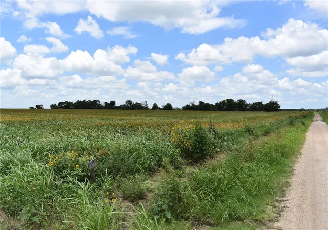 2nd image of Tbd County Road 109, Buckholts, TX 76518 | MLS# 3891118