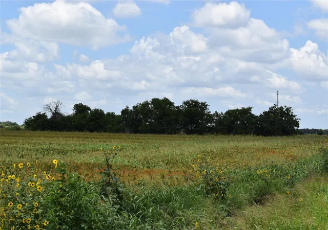 3rd image of Tbd County Road 109, Buckholts, TX 76518 | MLS# 3891118