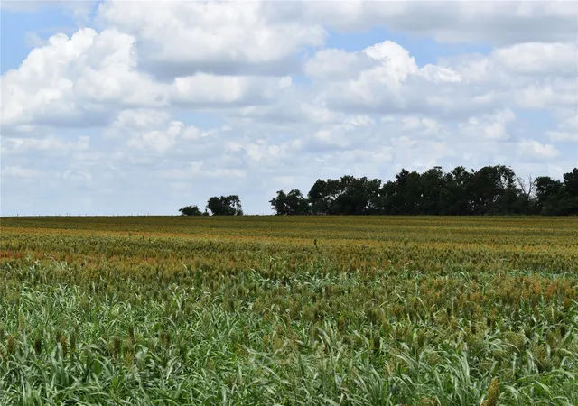 4th image of Tbd County Road 109, Buckholts, TX 76518 | MLS# 3891118