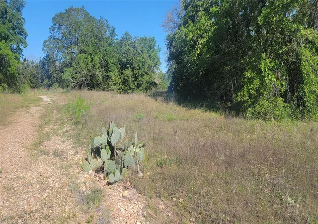1st image of 156 Lone Star Cir, Bastrop, TX 78602 | MLS# 1259932