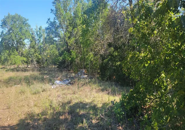 3rd image of 156 Lone Star Cir, Bastrop, TX 78602 | MLS# 1259932