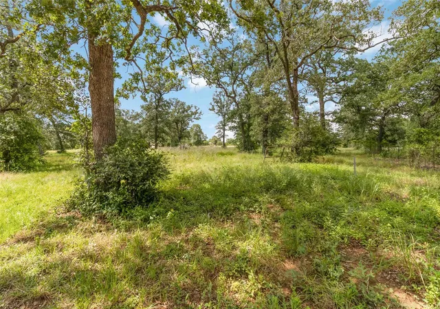 40th image of 1208 Jeddo Rd, Rosanky, TX 78953 | MLS# 6629222