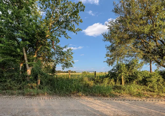 Homes for sale in Rockdale, TX | 000 County Road 429, Rockdale, TX 76567 | MLS# 4347413