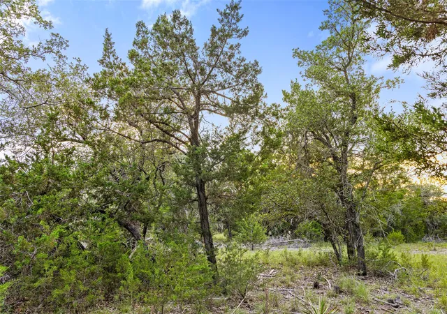 5th image of 000 Mirela Ann Rd, Dripping Springs, TX 78620 | MLS# 2128135