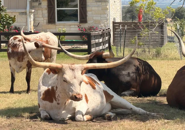 7th image of Lot 52 Axis Cir, Fredericksburg, TX 78624 | MLS# 4467828