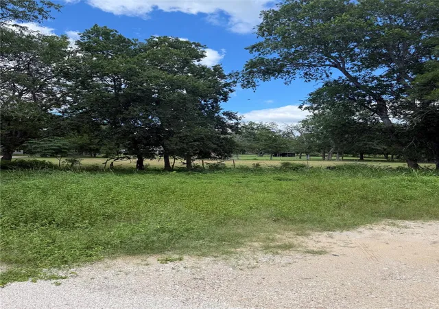 1st image of Tbd Crockett St, Martindale, TX 78655 | MLS# 3303980