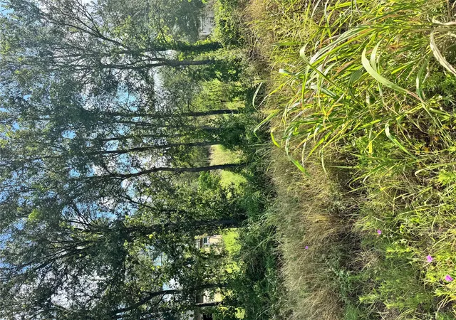 1st image of Tbd Union Chapel Rd, Cedar Creek, TX 78612 | MLS# 2413460