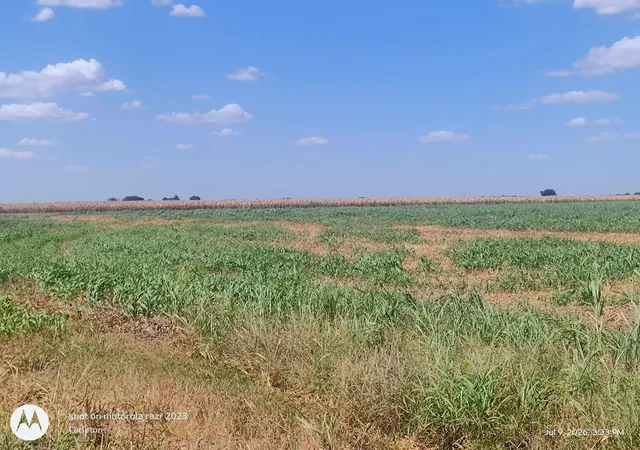 image of 2016 Rolling Meadows Dr, Coupland, TX 78615 | MLS# 7845140