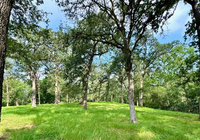 Photo 3 of Land for sale at 35471 Pontiac Dr, Brookshire, TX 77423 | MLS# 7576566 | Listing updated on 2026-07-17