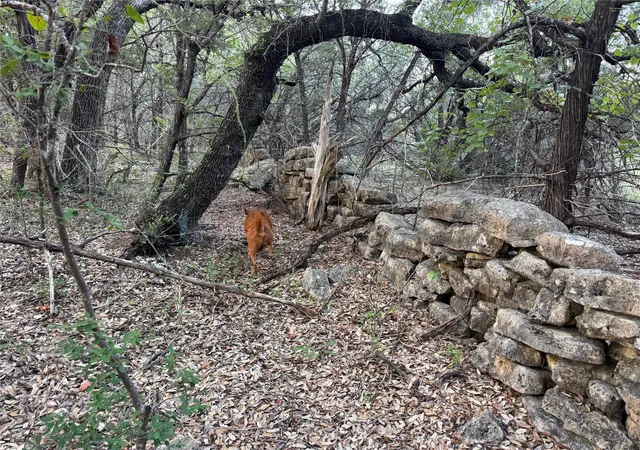Photo 3 of Land for sale at 0000 Round Mountain Rd, Leander, TX 78641 | MLS# 6769398 | Listing updated on 2026-08-05