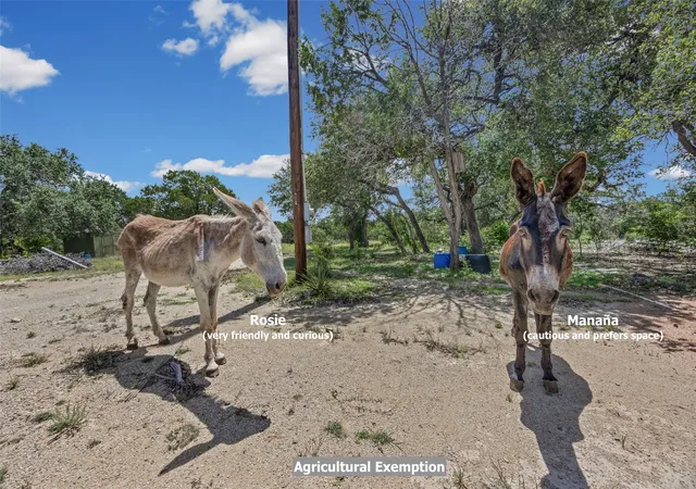 Photo 1 of Land for sale at Tbd Cottonwood Rd, Wimberley, TX 78676 | MLS# 5472932 | Listing updated on 2026-08-27