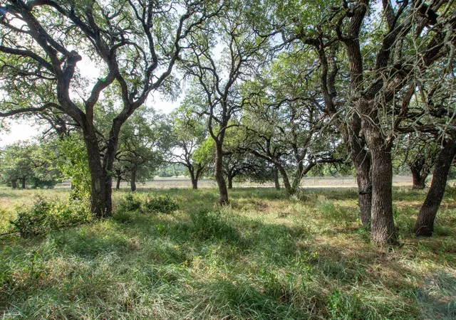 Photo 2 of Land for sale at 103 Fm 1047, Star, TX 76880 | MLS# 7178577 | Listing updated on 2026-07-12