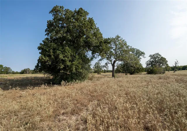 Photo 3 of Land for sale at Tbd Tract 5 Cedar Rock Rd, Rosanky, TX 78953 | MLS# 7850836 | Listing updated on 2026-07-16