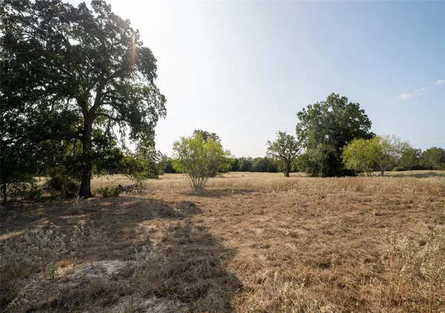 Photo 3 of Land for sale at Tbd Tract 5 Cedar Rock Rd, Rosanky, TX 78953 | MLS# 7850836 | Listing updated on 2026-07-16
