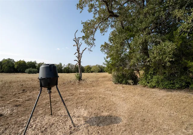 Photo 4 of Land for sale at Tbd Tract 5 Cedar Rock Rd, Rosanky, TX 78953 | MLS# 7850836 | Listing updated on 2026-07-16