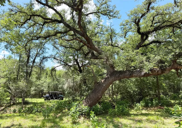 1st image of 0000 Fm 2239, Paige, TX 78659 | MLS# 6957791