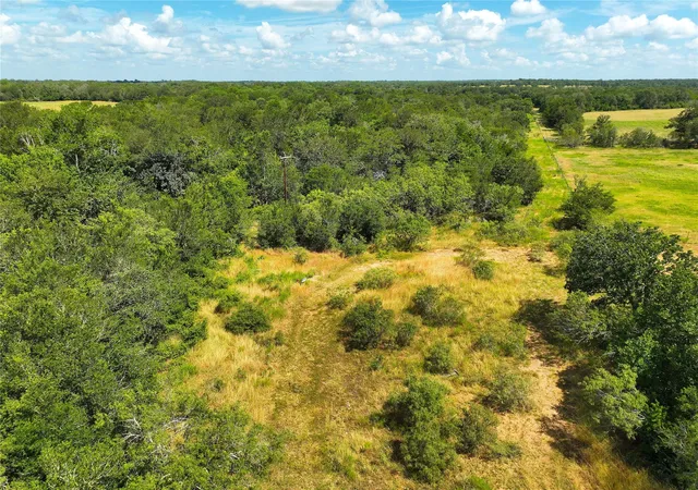 Photo 4 of Land for sale at 0000 Fm 2239, Paige, TX 78659 | MLS# 6957791 | Listing updated on 2026-07-13