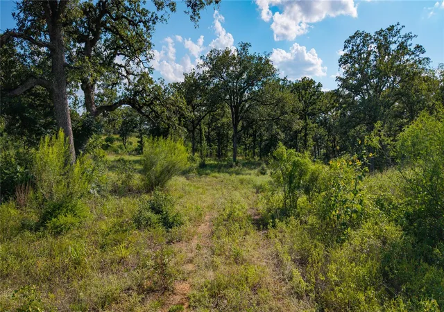 Photo 2 of Land for sale at 206 Sayers Rd, Bastrop, TX 78602 | MLS# 5877031 | Listing updated on 2026-10-08