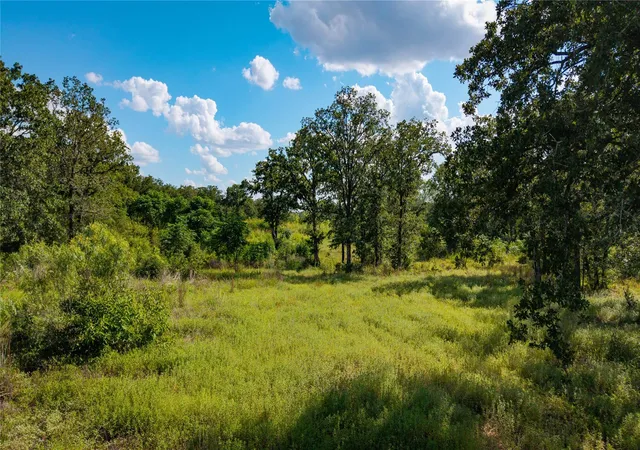 Photo 3 of Land for sale at 206 Sayers Rd, Bastrop, TX 78602 | MLS# 5877031 | Listing updated on 2026-10-08