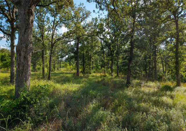 Photo 4 of Land for sale at 206 Sayers Rd, Bastrop, TX 78602 | MLS# 5877031 | Listing updated on 2026-10-08