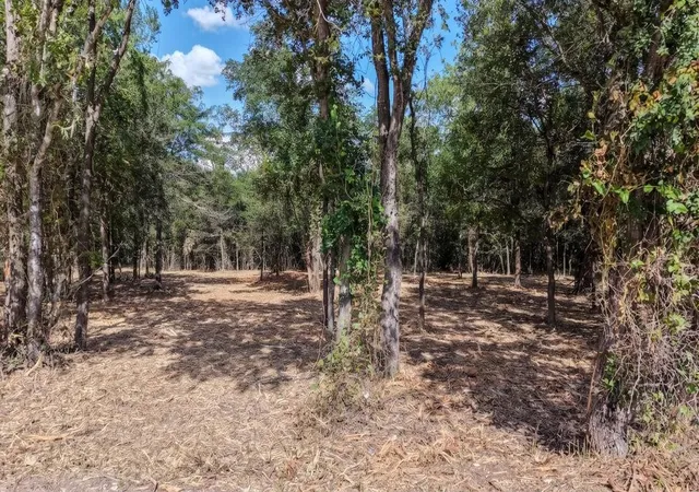 Photo 4 of Land for sale at Tbd Cr 418a (wahle Road), Bartlett, TX 76511 | MLS# 6805240 | Listing updated on 2026-08-13