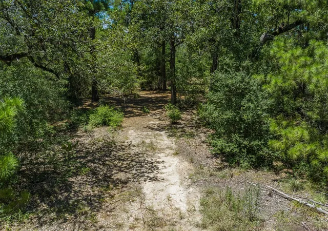 3rd image of 492 S Old Potato Rd, Paige, TX 78659 | MLS# 1981953