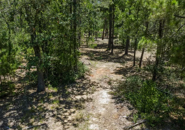 4th image of 492 S Old Potato Rd, Paige, TX 78659 | MLS# 1981953