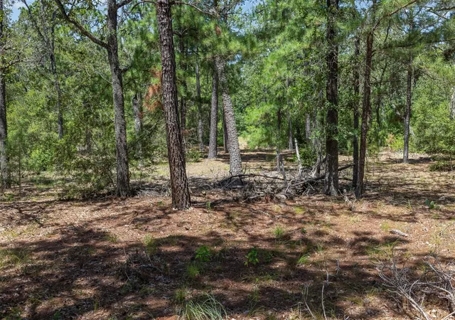 5th image of 492 S Old Potato Rd, Paige, TX 78659 | MLS# 1981953