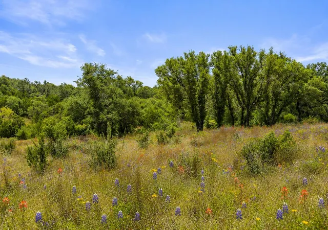 Photo 3 of Land for sale at 207 Verbena Rd, Johnson City, TX 78636 | MLS# 6605489 | Listing updated on 2026-09-06