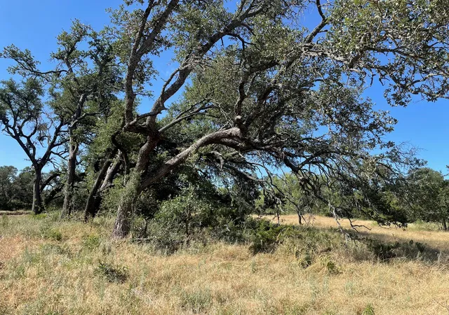 Photo 3 of Land for sale at Lot 200 Swamp Crk Cvs, Burnet, TX 78611 | MLS# 7033386 | Listing updated on 2026-07-27