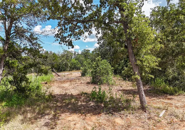 Photo 1 of Land for sale at 115 Eaglenest Ct, Smithville, TX 78957 | MLS# 5933935 | Listing updated on 2026-09-21