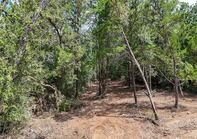 Photo 4 of Land for sale at 115 Eaglenest Ct, Smithville, TX 78957 | MLS# 5933935 | Listing updated on 2026-09-21