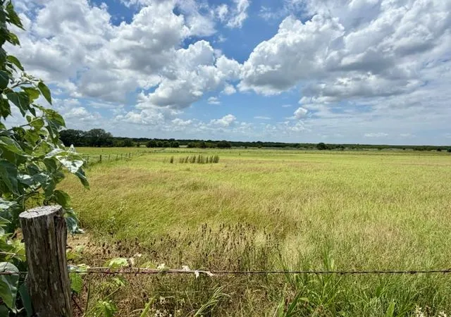 13th image of Tbd N State Hwy 80 Hwy, Leesville, TX 78122 | MLS# 2155906