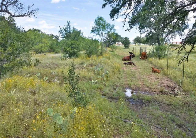 Photo 4 of House for sale at 2144 Cr 307, Kingsland, TX 78639 | MLS# 9873256 | Listing updated on 2026-07-16
