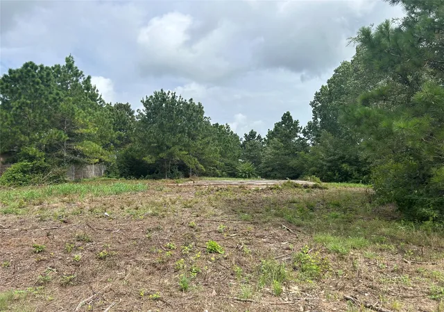 1st image of 158 Cardinal Loop, Paige, TX 78659 | MLS# 4510023