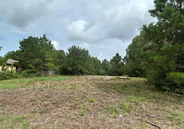 5th image of 158 Cardinal Loop, Paige, TX 78659 | MLS# 4510023
