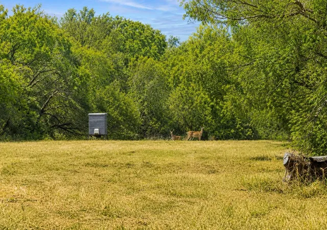 5th image of Tbd Cr 171, Nixon, TX 78140 | MLS# 3984584