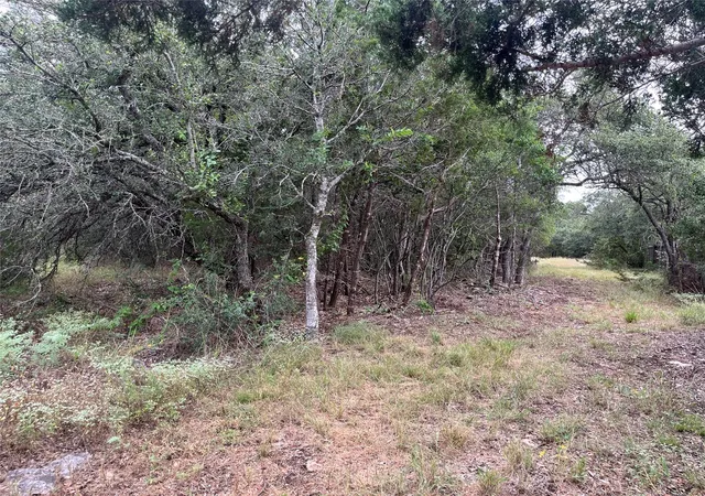 7th image of 0 Arbor Trl, Buda, TX 78610 | MLS# 1866162