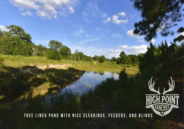 2nd image of Tbd Ranch Road Off Cr 405 (+/  60 Acres), Lexington, TX 78947 | MLS# 1868019