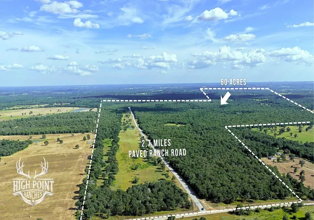 3rd image of Tbd Ranch Road Off Cr 405 (+/- 60 Acres), Lexington, TX 78947 | MLS# 1868019
