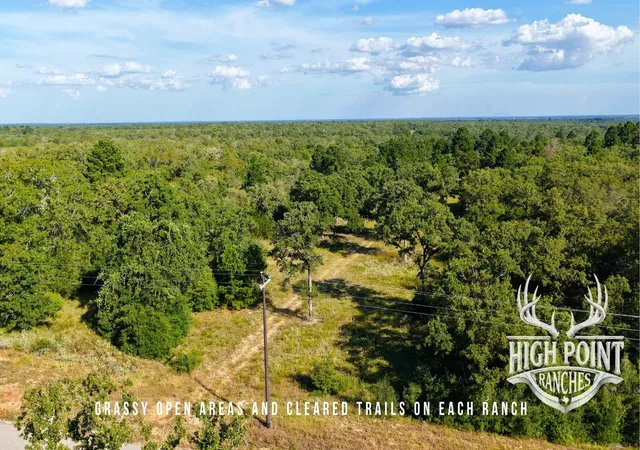 5th image of Tbd Ranch Road Off Cr 405 (+/- 60 Acres), Lexington, TX 78947 | MLS# 1868019
