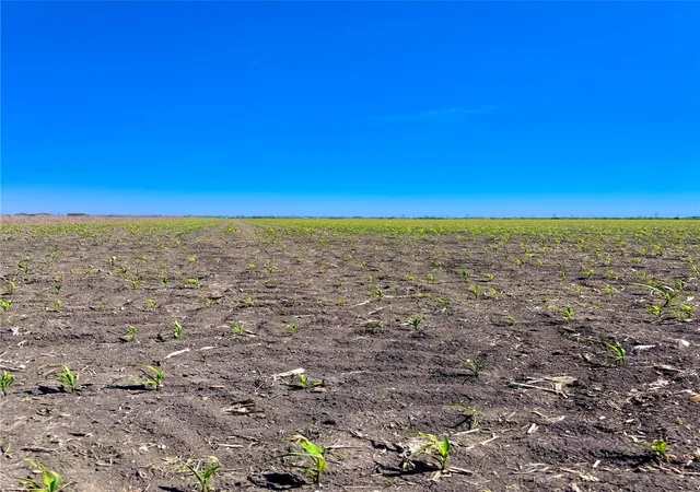 image of Tbd Tract 4 Lund Carlson Rd, Coupland, TX 78615 | MLS# 1665689