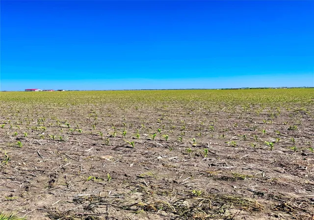 image of Tbd Tract 4 Lund Carlson Rd, Coupland, TX 78615 | MLS# 1665689